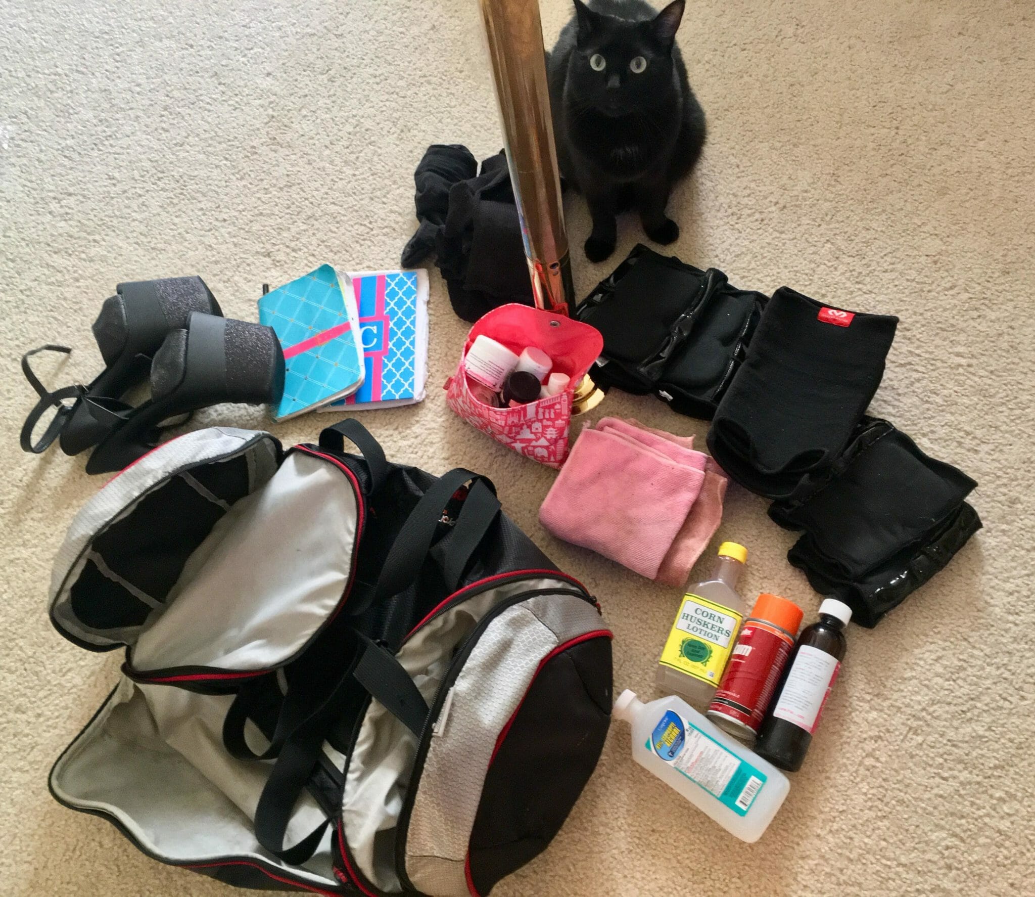 Contents of a pole bag; leg warmers, grip aid, stilettoes, cat, knee pads, alcohol