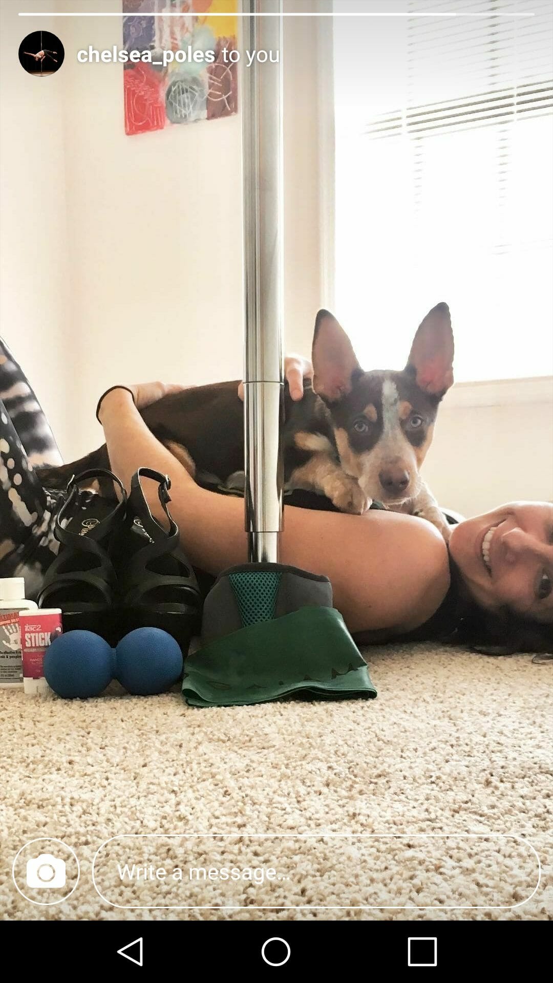 Pole bag with stilettoes and peanut, pole dancer laying on the floor with dog on top.