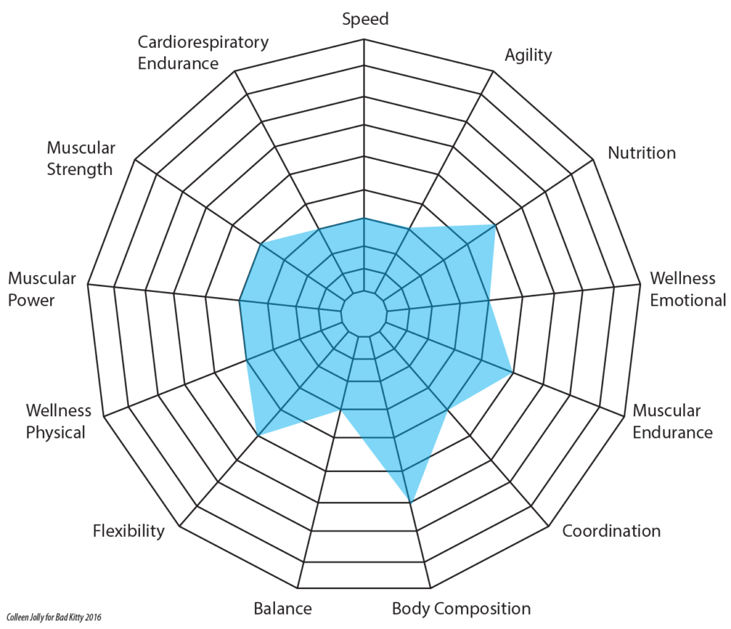 Radar or spider web chart showing several elements of fitness with parts filled in.