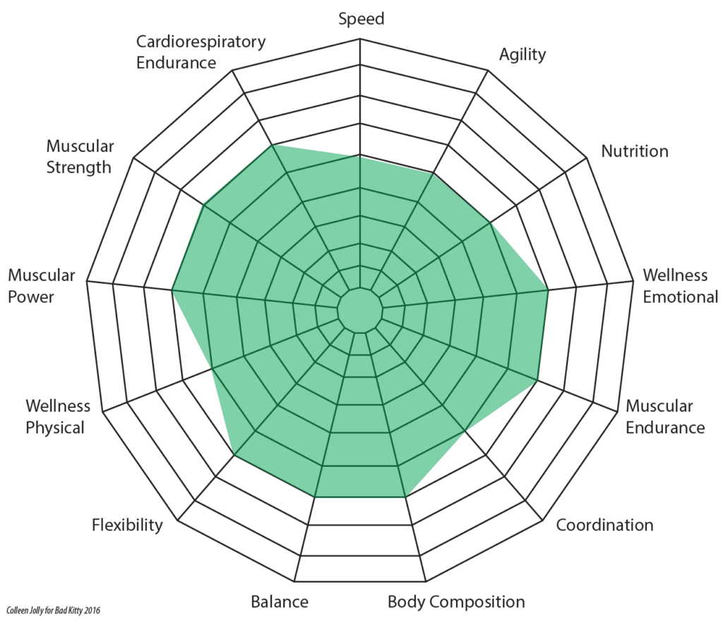 Radar or spider web chart showing several elements of fitness with parts filled in.