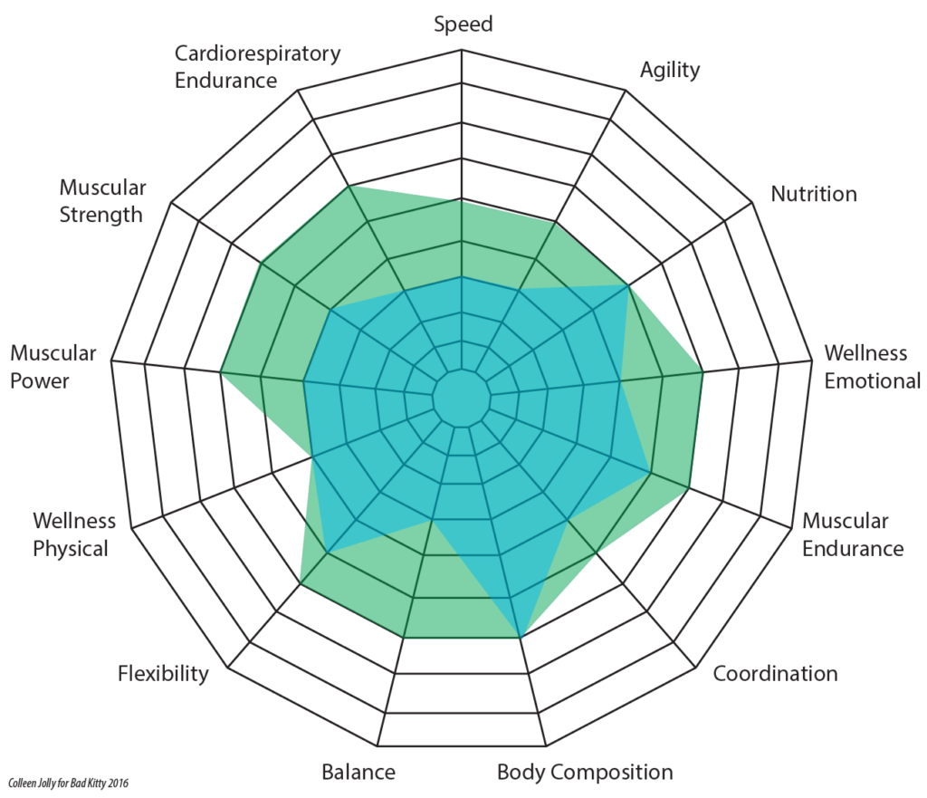 Radar or spider web chart showing several elements of fitness with parts filled in and overlaid on top of each other to show difference.